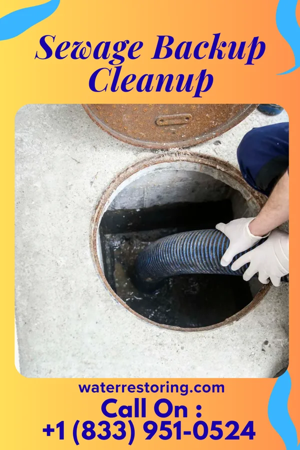 Sewage Backup Cleanup in Merrill, IA